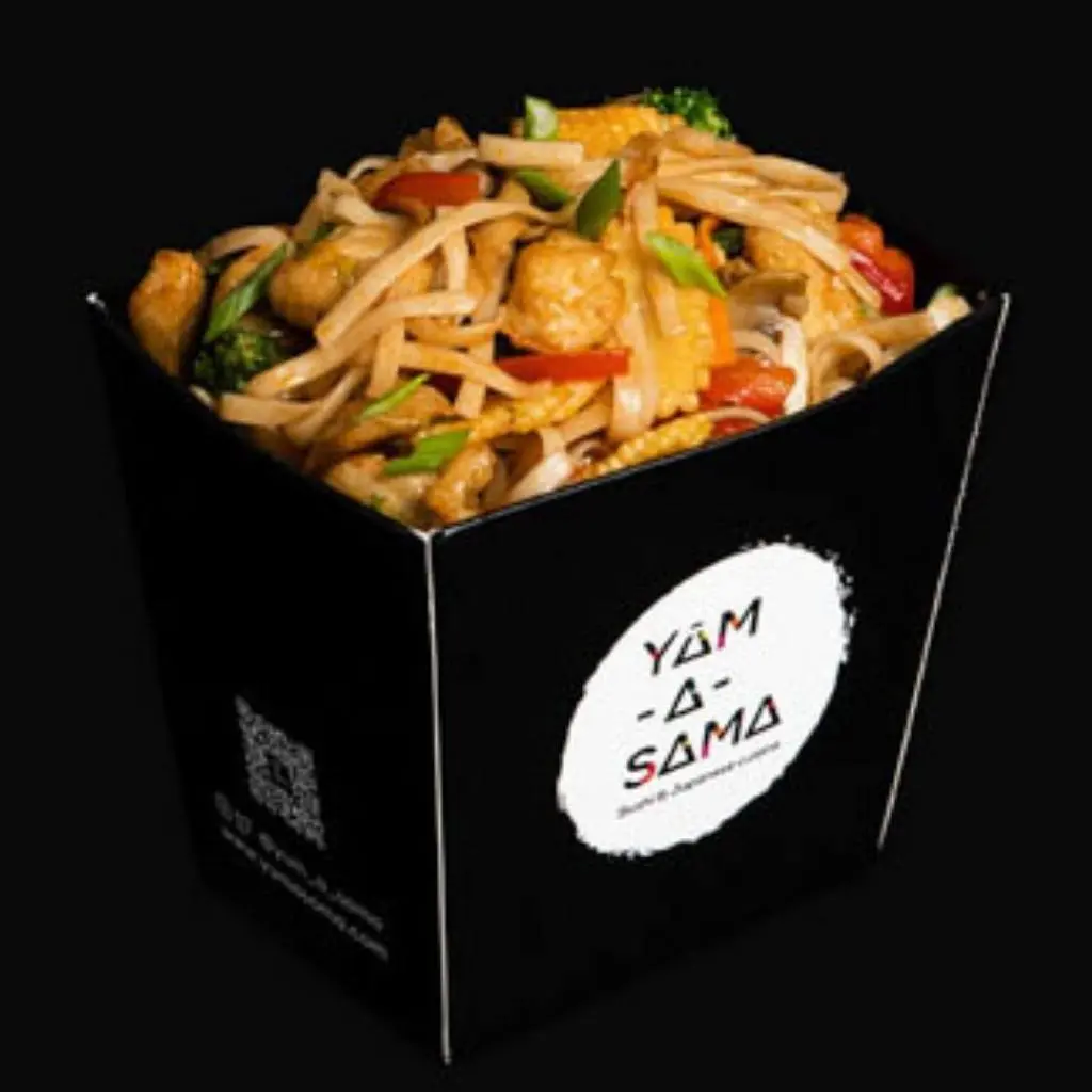 نودلز الدجاج